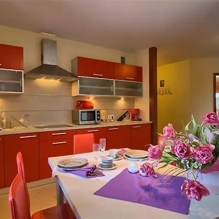 Visitzakopane - Crocus *